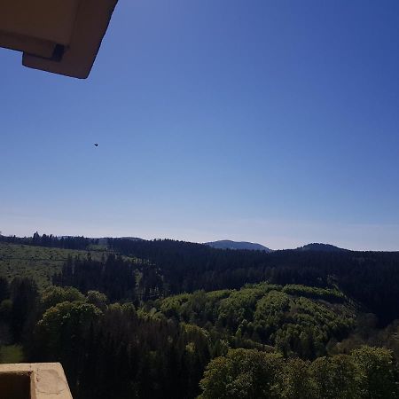 Ferienwohnung Jasmin Hohegeiß Exterior foto