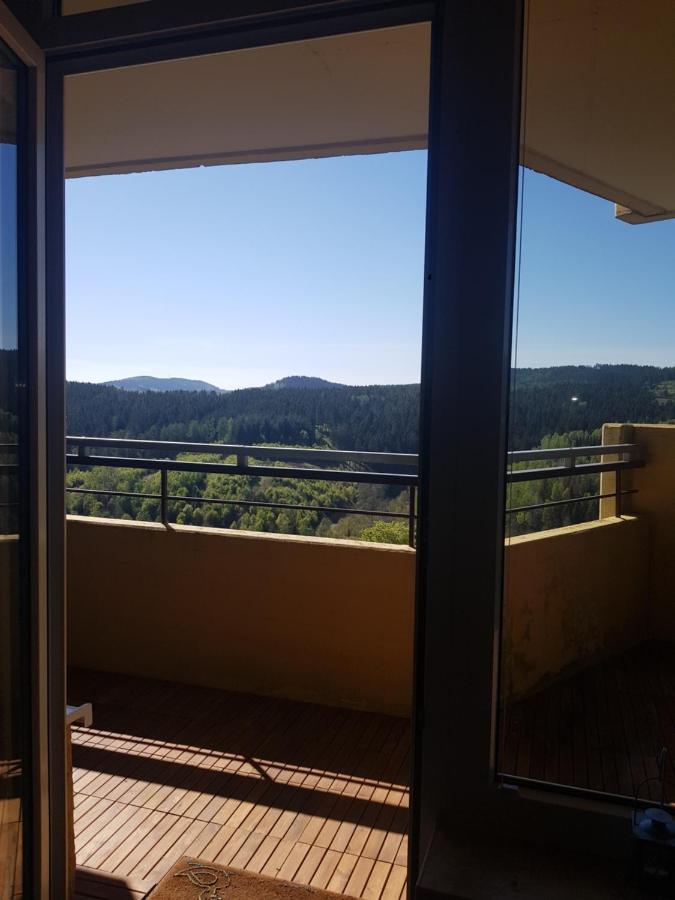 Ferienwohnung Jasmin Hohegeiß Exterior foto